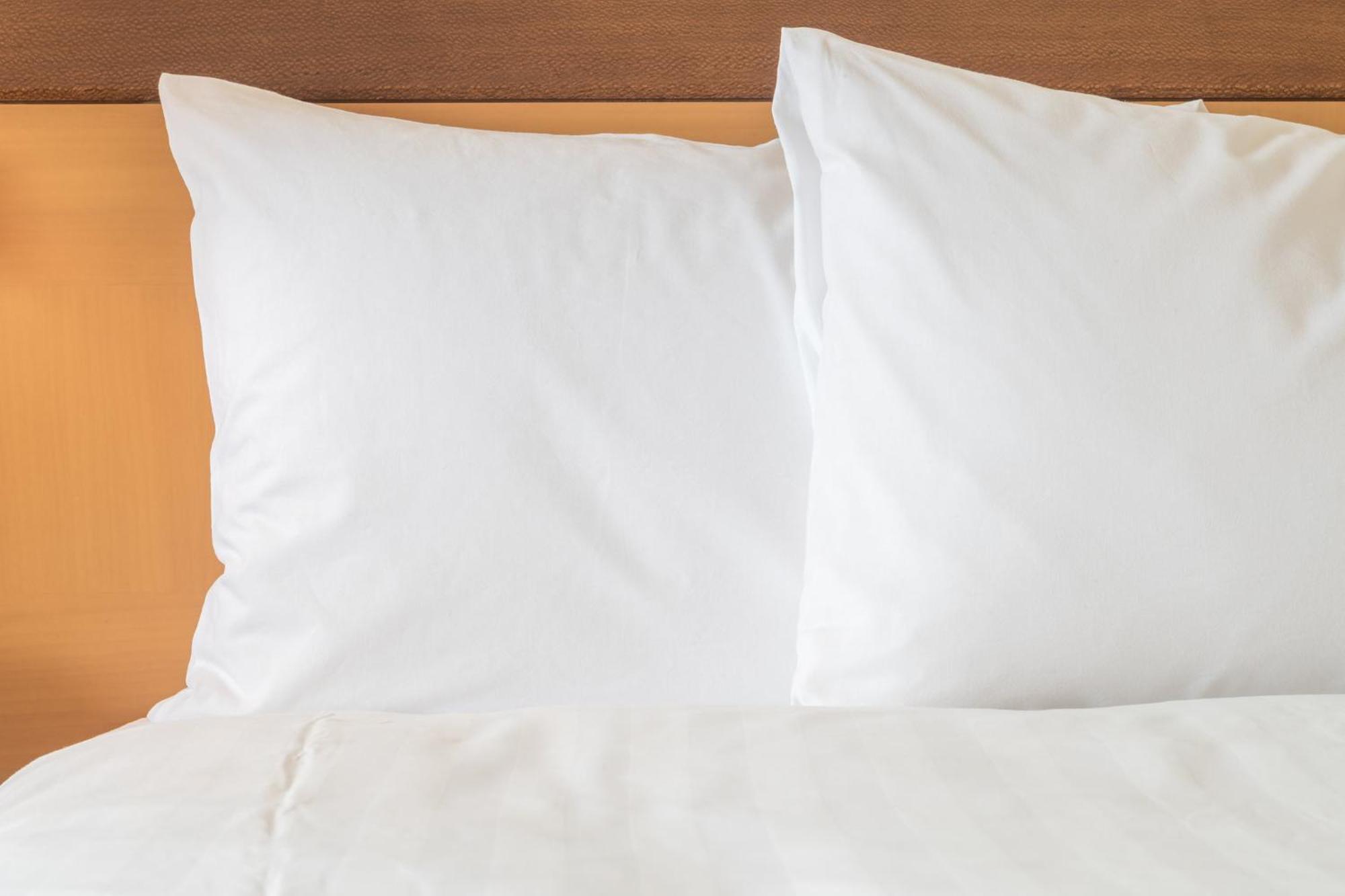 Crowne Plaza Jacksonville Airport By Ihg מראה חיצוני תמונה